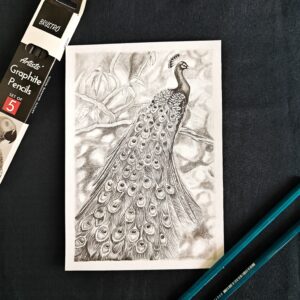 Elegance in Every Feather - Detailed Graphite Peacock Art (A5 Size)