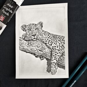 The Silent Predator - Majestic Resting Leopard Pencil Sketch (A5 Size)