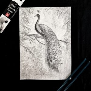 Majestic Peacock Artwork – Indian Peacock Pencil Sketch for Peaceful Vibes (A4 Size)