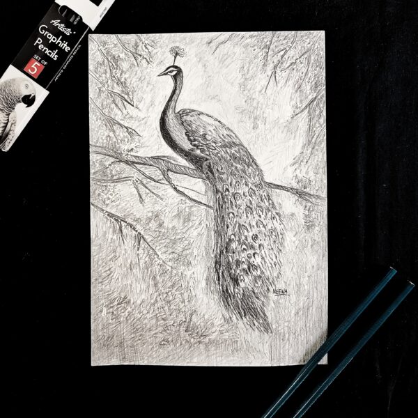 Majestic Peacock Artwork – Indian Peacock Pencil Sketch for Peaceful Vibes (A4 Size)