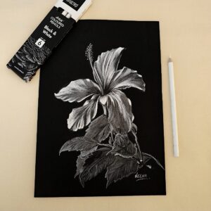 Realistic Hibiscus Charm - Mesmerizing White Hibiscus Illustration on Classic Black Sheet for Modern Interiors (A4 Size)