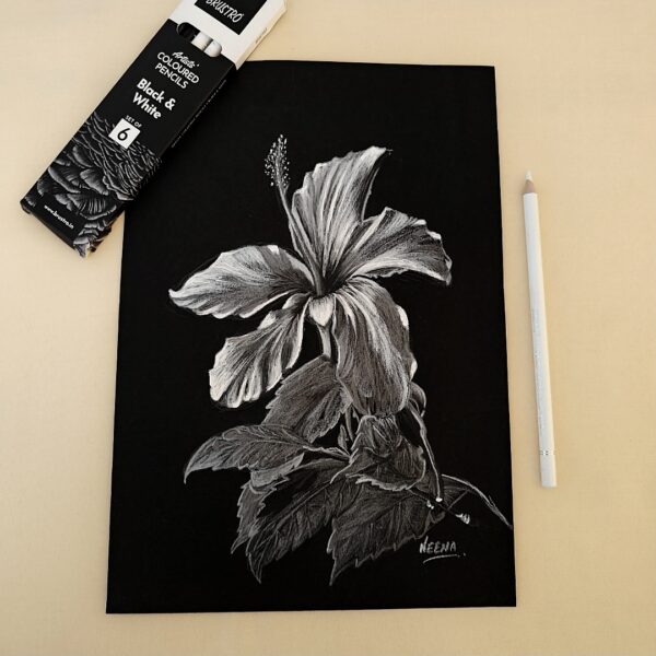 Realistic Hibiscus Charm - Mesmerizing White Hibiscus Illustration on Classic Black Sheet for Modern Interiors (A4 Size)
