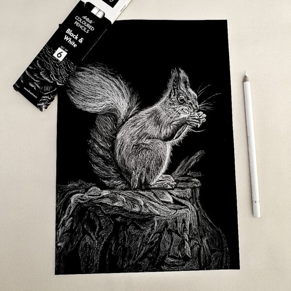 Realistic Squirrel Elegance - Stunning Hand-drawn Realistic Art to add Natural Grace for Calm Interior Settings (A4)