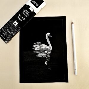 Swan Tales of Love  - Graveful White Swan and Babies Art on Black Sheet for Elegant Décor (A5 Size)